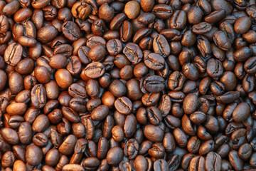 Rich dark coffee beans pile with shiny textures and deep brown hues