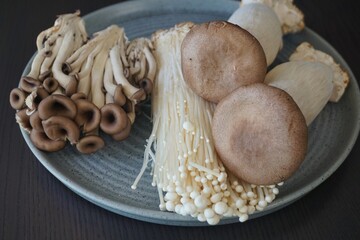 Enoki Mushroom, Oyster mushroom (pleurotus ostreatus) on a dark background, cooking. Asian cuisine. 팽이버섯, 새송이 버섯, 팩느타리 버섯.