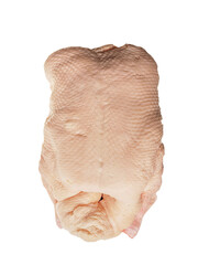 Uncooked fresh duck on a metal stainless steel tray. Fine, high quality poultry product on white background.