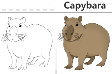 Capybara coloring pages for kids and learn to recognize letters, animal recognition cards media for various games in early childhood learning