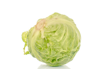 Fototapeta premium One fresh cabbage, close-up, isolated on a white background.