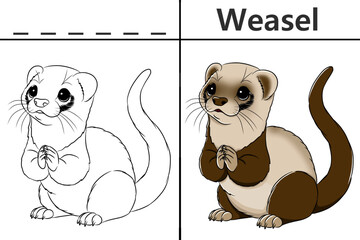 Weasel coloring pages for kids and learn to recognize letters, animal recognition cards media for various games in early childhood learning