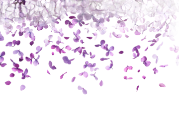 A beautiful cascade of lilac petals falling gracefully from above, creating a serene and tranquil atmosphere, perfect for backgrounds in floral designs or seasonal themes