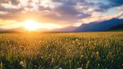 Golden hour sunlight illuminates a vast meadow, wildflowers dotting the landscape, mountains silhouetted in the distance, creating a serene and peaceful scene. : Generative AI