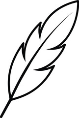 Obraz premium feather vector illustration