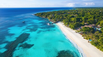 Tropical Paradise Beach Aerial View