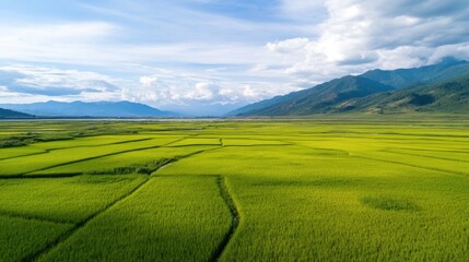 Obraz premium Vast green rice paddy fields stretch towards majestic mountains under a partly cloudy sky, showcasing a serene and picturesque landscape. : Generative AI