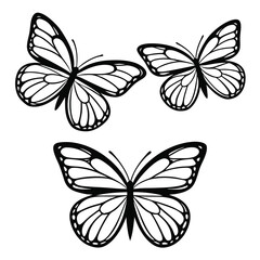 Fototapeta premium set of butterflies