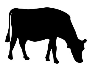 Vector silhouette of beef cattle, cow in side view bending down to graze isolated.