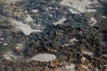 Rocky shoreline in Trelawny, Jamaica 