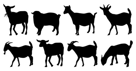 Vector silhouettes of goat in side view full body, isolated on white background.