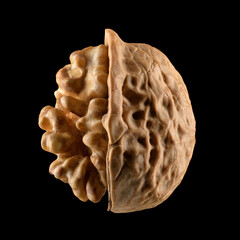 Half-peeled walnut showing the kernel of a nut isolated on black background.