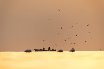 Fishing boat and greater Flamingos at the foreground in the early morning hours at Asker coast, Bahrain