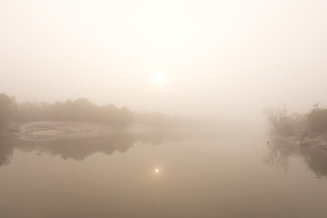 River channel, mudflat and mangrove forest of Sundarban tiger reserve in a foggy morning, India