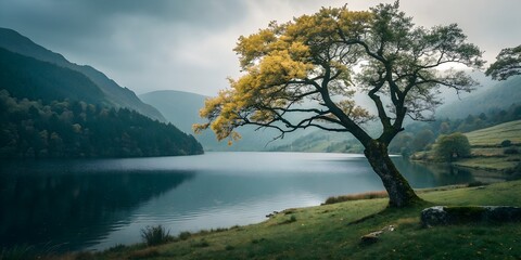 Serene Autumnal Landscape Lone Tree by Tranquil Lake and Misty Mountains