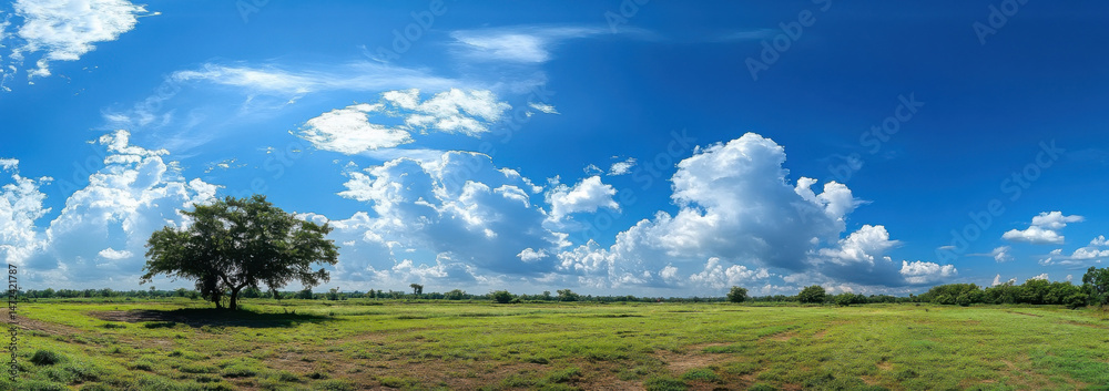 Aufkleber A solitary tree stands in a vast, verdant field under a brilliant blue sky adorned with fluffy cumulus clouds, creating a serene and idyllic landscape. : Generative AI