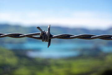 Close-Up of Barbed Wire Fence with Scenic Background