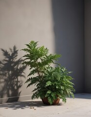 Open magazine showcasing editorial content with natural plant shadows on a changeable background ,  visuals,  design