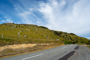 Winding Road Along Grassy Hillside