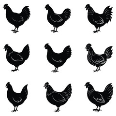set of chicken silhouettes vector illustrations
