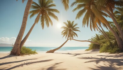 Obraz premium Sun-drenched palm trees arch over pristine sandy beach; vintage film grain , palm trees, warm tones