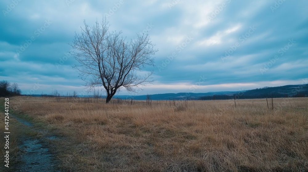 Aufkleber solitary bare tree stands in a vast, dry field under a brooding, blue sky, hinting at late autumn or