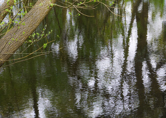 A pond with ripples and refections of trees