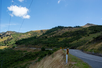 Winding Road Through Lush Green Hills