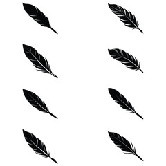 set of feathers vector on white background