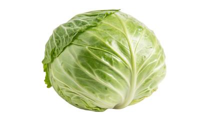 Fototapeta premium Cabbage isolated on a transparent background