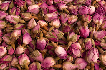 Dry tea roses isolated on white background.