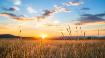 Golden hour sunset over a field of tall grass, with the sun setting behind distant mountains, creating a warm and peaceful landscape. : Generative AI