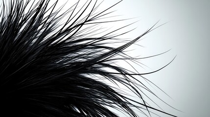 Obraz premium Abstract depiction of black, spiky, textured fibers.