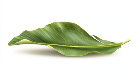 Single, vibrant green tropical leaf isolated on white, showcasing intricate vein patterns and a slightly curled edge, perfect for design projects needing a natural element. : Generative AI