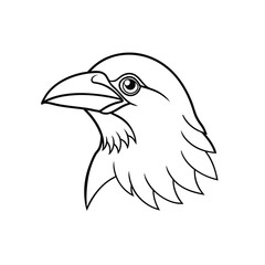 Crow Head Line Drawing
