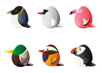 Simplified concept of egg shaped waterfowl. Water birds set