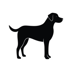 Standing labrador retriever friendly pet dog silhouette vector image on white background