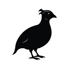 Quail small game bird with plume on head silhouette vector image on white background