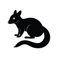 Quoll carnivorous marsupial with spotted coat silhouette vector image on white background