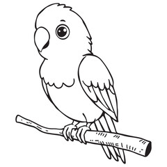 vector illustration of a parrot