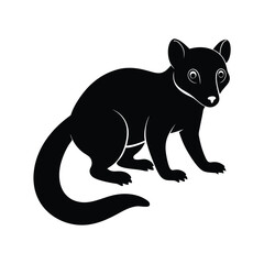 Kinkajou rainforest mammal also called honey bear silhouette vector image on white background