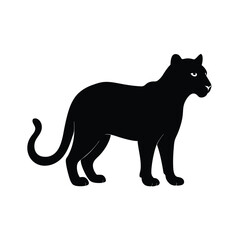 Jaguarundi sleek wild cat from the Americas silhouette vector image on white background