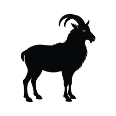 Himalayan tahr mountain goat-like animal silhouette vector image on white background