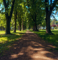 In the city park during a spring day