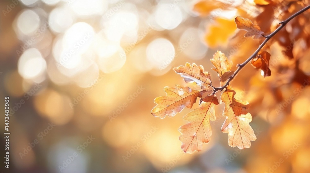 Poster golden autumn oak leaves on a branch, bathed in soft sunlight, bokeh background. : generative ai