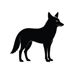 Coyote wild dog species native to North America silhouette vector image on white background