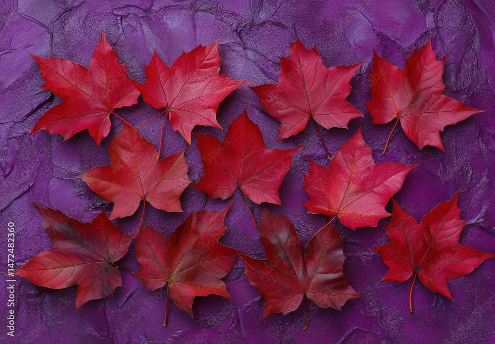 Poster ten vibrant red maple leaves arranged on a textured purple background, creating a visually striking 