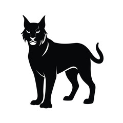 Bobcat wild feline with short tail black silhouette vector image on white background
