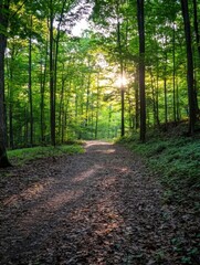 Obraz premium Sunlit path through a lush green forest, dappled sunlight filtering through the trees, creating a magical atmosphere. Leaves cover the ground, leading the eye towards a distant horizo : Generative AI