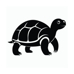 Indian star tortoise exotic reptile in black silhouette vector image on white background